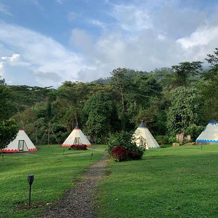 Refugio Del Bosque Glamping 호텔 라 메사 외부 사진