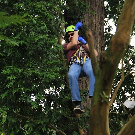 Bosque De Aventura & Glamping Refugio Del Bosque 호텔 라 메사 외부 사진