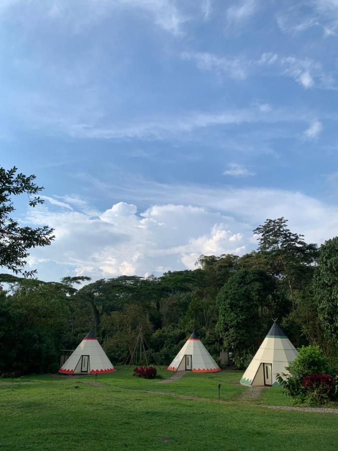 Refugio Del Bosque Glamping 호텔 라 메사 외부 사진