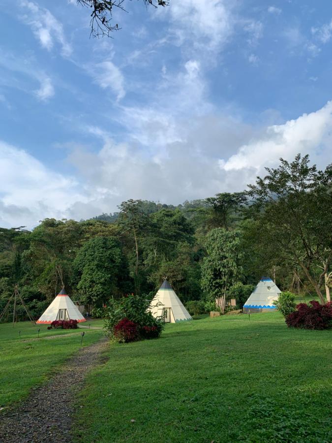 Refugio Del Bosque Glamping 호텔 라 메사 외부 사진