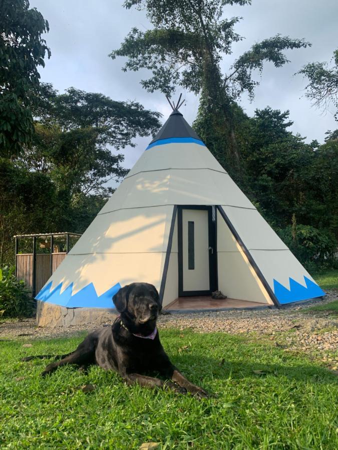 Bosque De Aventura & Glamping Refugio Del Bosque 호텔 라 메사 외부 사진