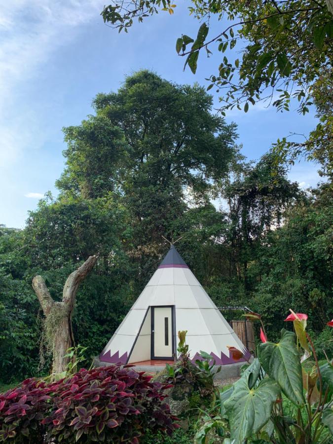Bosque De Aventura & Glamping Refugio Del Bosque 호텔 라 메사 외부 사진