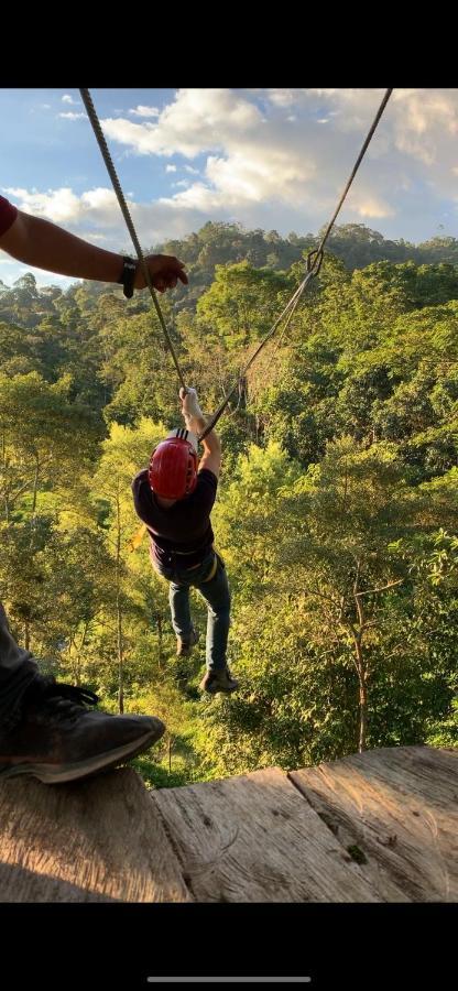 Bosque De Aventura & Glamping Refugio Del Bosque 호텔 라 메사 외부 사진