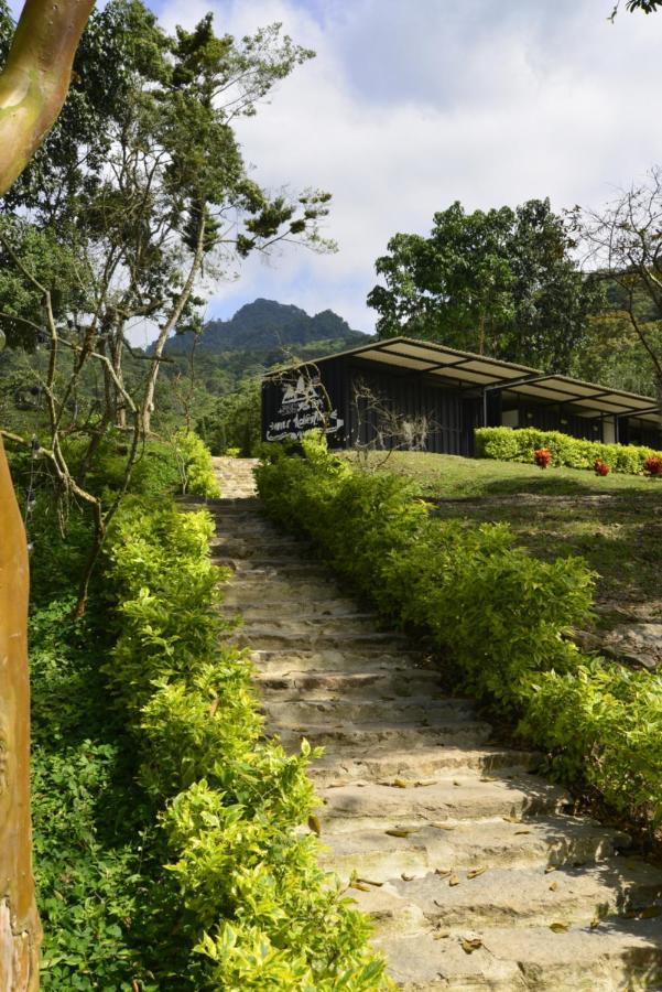 Bosque De Aventura & Glamping Refugio Del Bosque 호텔 라 메사 외부 사진