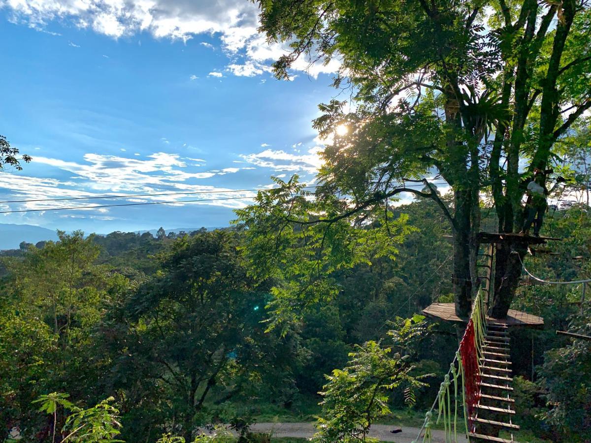 Refugio Del Bosque Glamping 호텔 라 메사 외부 사진